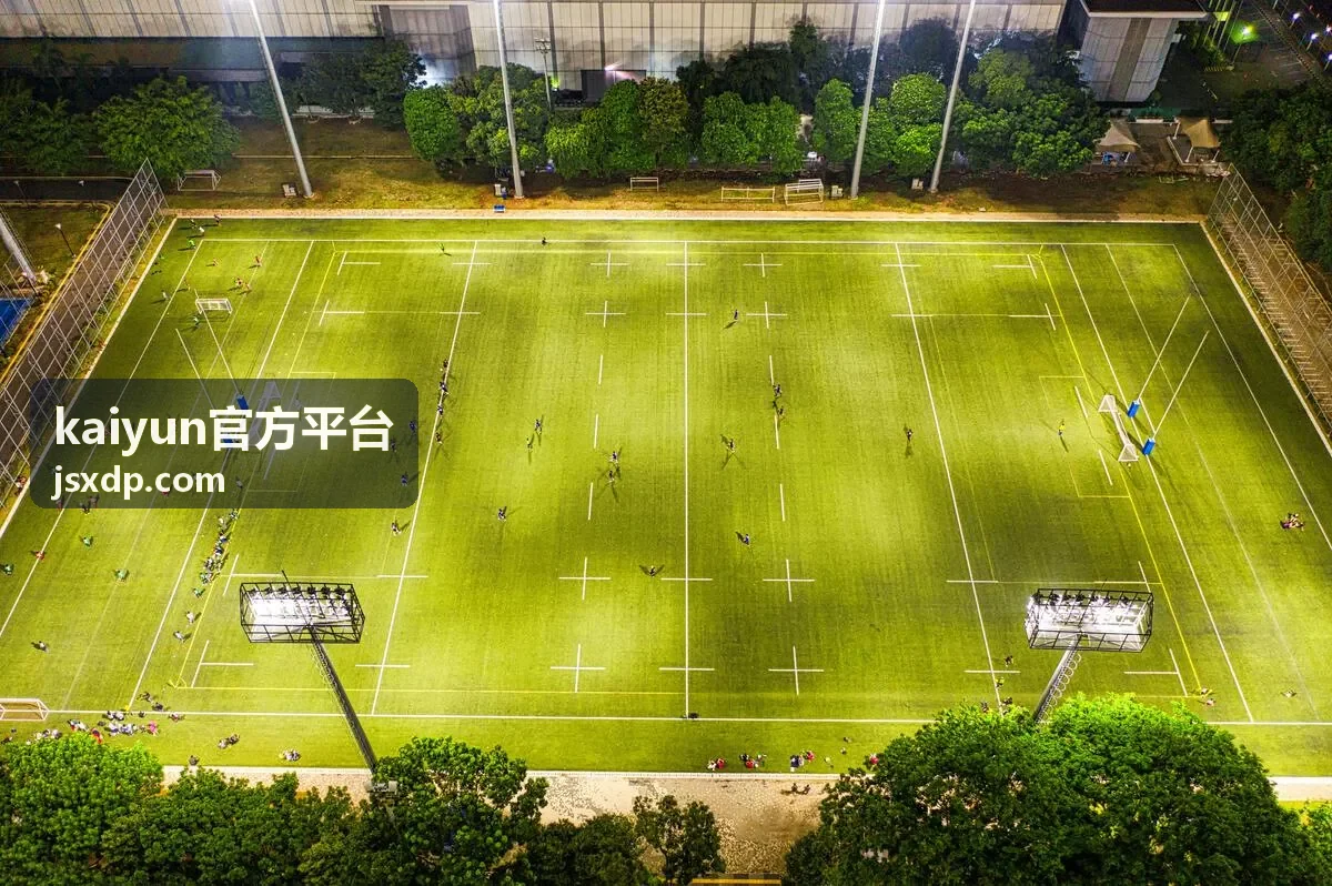 kaiyun官方平台平台服务方案的功能模块与资费构成示意图