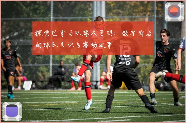 探索巴拿马队球衣号码：数字背后的球队文化与赛场故事