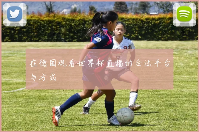 在德国观看世界杯直播的合法平台与方式