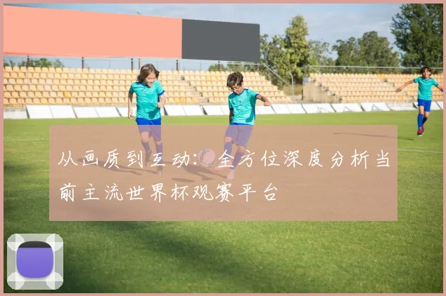 从画质到互动：全方位深度分析当前主流世界杯观赛平台