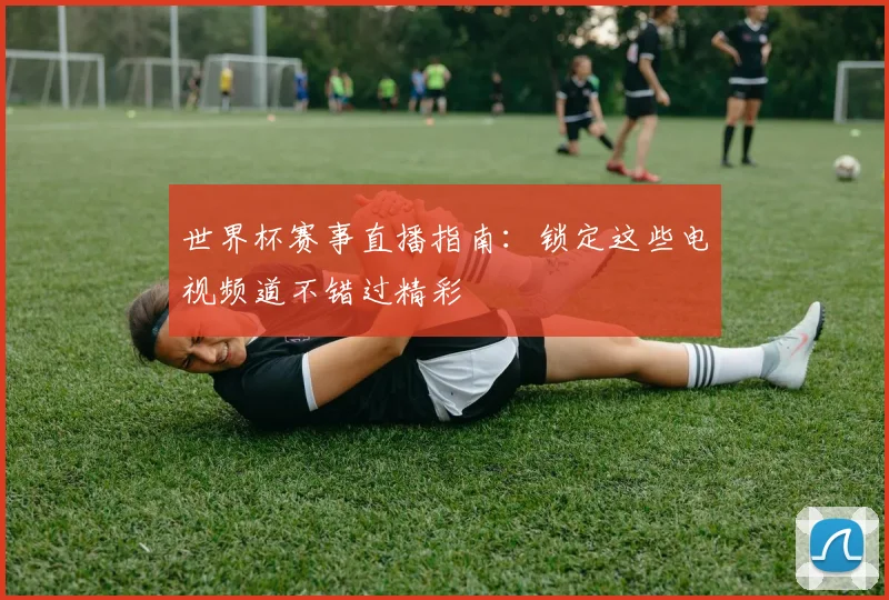 世界杯赛事直播指南：锁定这些电视频道不错过精彩