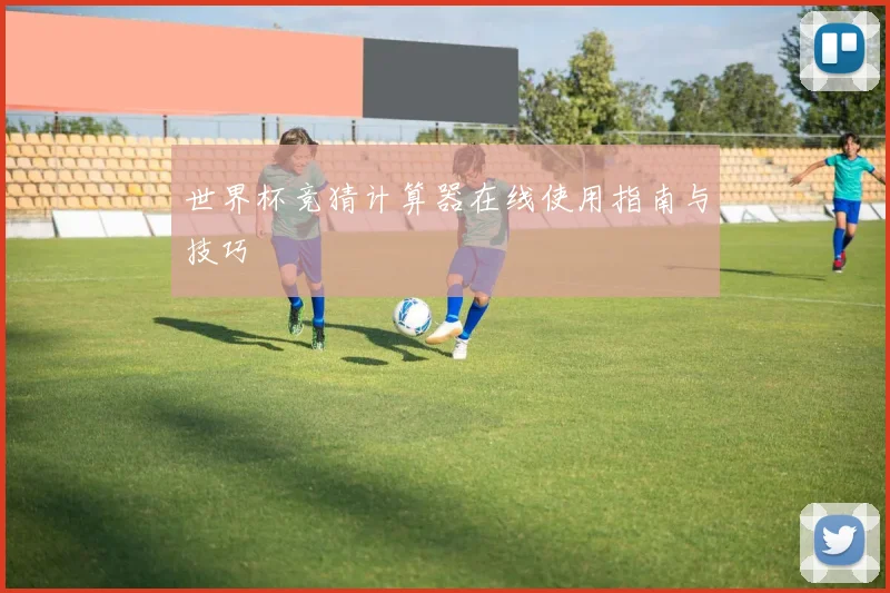 世界杯竞猜计算器在线使用指南与技巧
