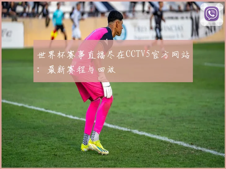 世界杯赛事直播尽在CCTV5官方网站：最新赛程与回放