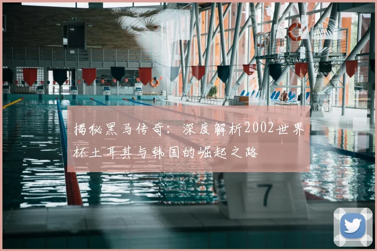 揭秘黑马传奇：深度解析2002世界杯土耳其与韩国的崛起之路