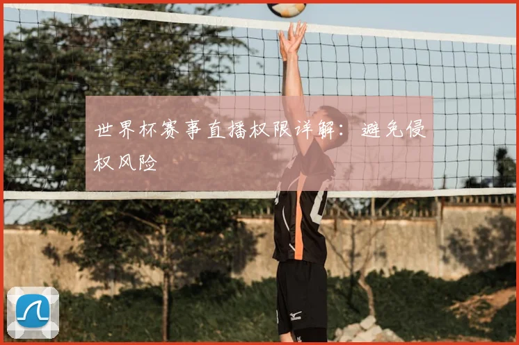 世界杯赛事直播权限详解：避免侵权风险