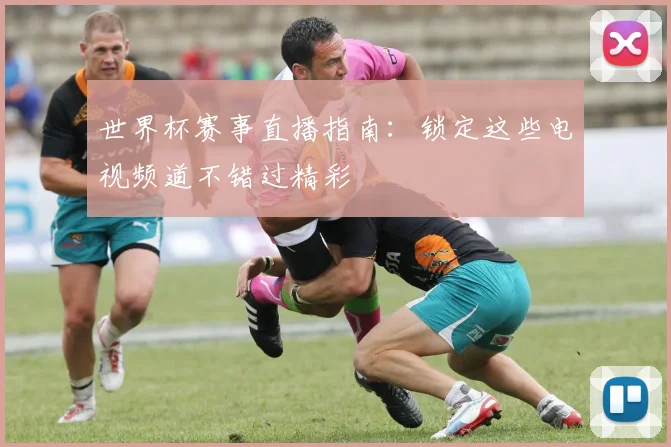 世界杯赛事直播指南：锁定这些电视频道不错过精彩